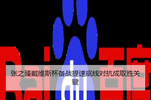 张之臻戴维斯杯备战提速底线对抗成取胜关键